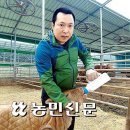 [귀농·귀촌 핫플 ] 축산농가 지원 ‘풍성’…귀농 준비기반 ‘탄탄’ 이미지