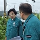 이변 이미지