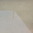 탑일태양광 이미지