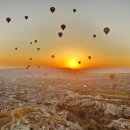 화이트벨리 이미지