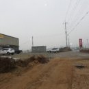 황무로 1 이미지