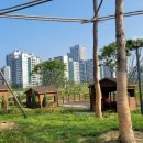 오송열린공인중개사사무소 이미지