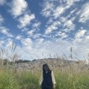 한올세탁소 이미지