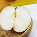 성식품 이미지
