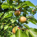 대승농장 이미지