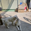 금순이농장 이미지