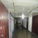 [The Monsoon Diaries]Creepy North Korea: The Hidden 5th Floor 이미지