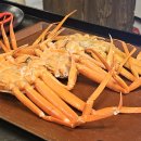 제일로 73번길 | 모란역 횟집 해산물 다이꼬 홍게와 막회 후기 (찐맛집..100점)
