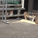 이선영농장 이미지