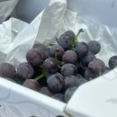 순식농장 이미지