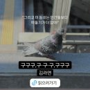 구구구 이미지