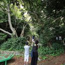 안도어촌체험관 이미지