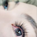 세인자연 이미지