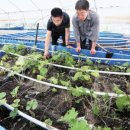 일식농장 이미지