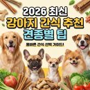 트릿츄잇 이미지