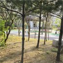 화성탑공인중개사사무소 | 내 집 마련 고민할 때, 동탄2금호 코너탑공인중개사사무소에서 믿고 맡기는 원스톱 부동산 서비스 이용법