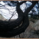 성안모텔 이미지