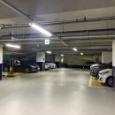 디벨롭짐 이미지