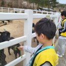 여고초등학교 이미지