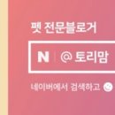개전부리 이미지