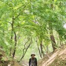 20260426:도심역 금대산 이미지