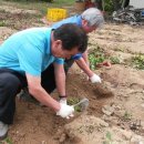 송백농장2 이미지