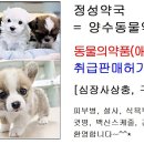 양평동물약국 네이버블로그