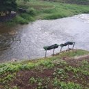 피아골민박 이미지