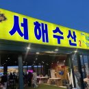 수산2 | 영종도 서해수산2호점 후기｜가을 새우철 포장 생새우회 소금구이 버터머리구이