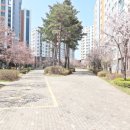 서창퍼스트뷰아파트 네이버블로그