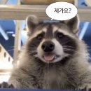 &lt;서브스턴스&gt; 후기