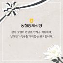 오금이(오금순)님의 시모상 전합니다 이미지