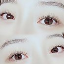 하이마로 | 안동 갔다가 뜻밖의 득템? '안동 입술틴트' 사러 갔다가 인생 속눈썹 찾았어요