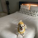 멍펜션14 이미지