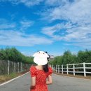 빠담목장 이미지