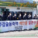 (주)일해