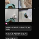 생글댕글 이미지