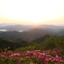 순천 고동산의 일출 이미지