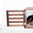 Design Dog 이미지