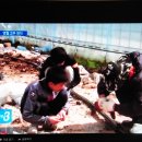 영서농장 이미지