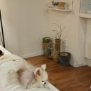 (주)오아제