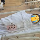 햇빛병원 | 햇빛병원 산부인과 입원 1인실 후기