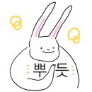 하나로 플라워 수족관 이미지