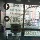 노엘동물병원 이미지