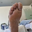 닥터페디 해운대장산점 이미지