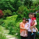 평창 별이빛나는밤에 이미지