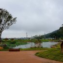 비슬산둘레길 1구간 이미지