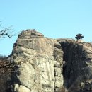 (주)해운관광여행사