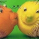 크로스핏 남산 이미지