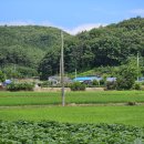 도리 마을회관 이미지